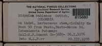 Image Associated With the Occurence
